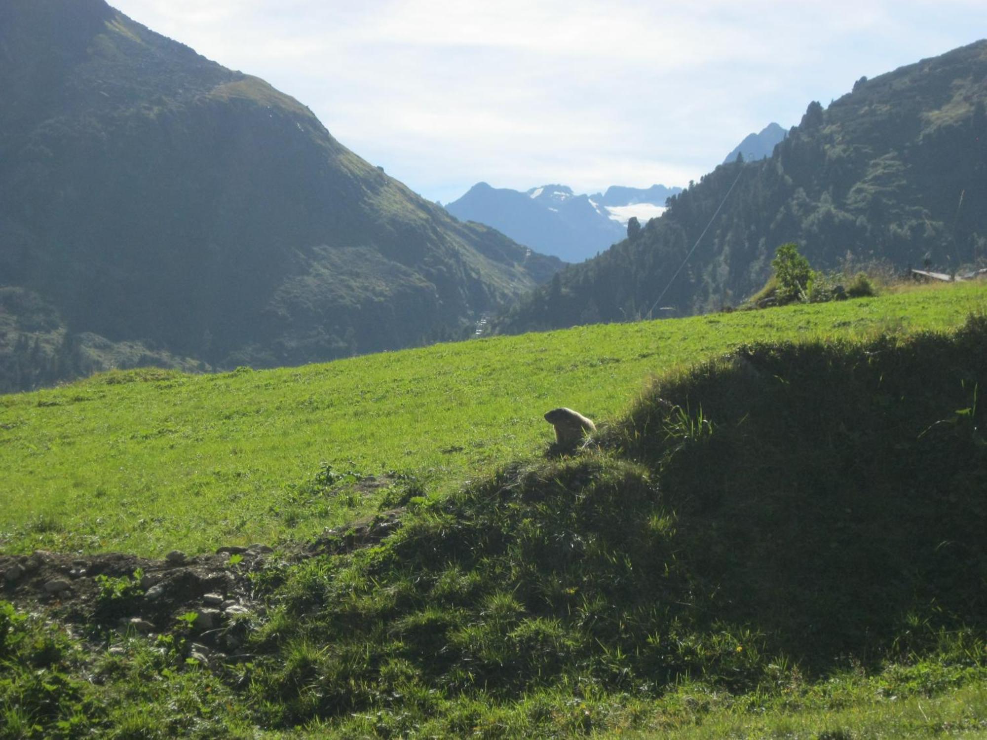 Ferienhaus Stubai Neustift im Stubaital Eksteriør bilde